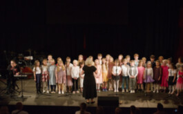 Koncert souborů a sborů 2