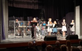 Koncert souborů a sborů 1